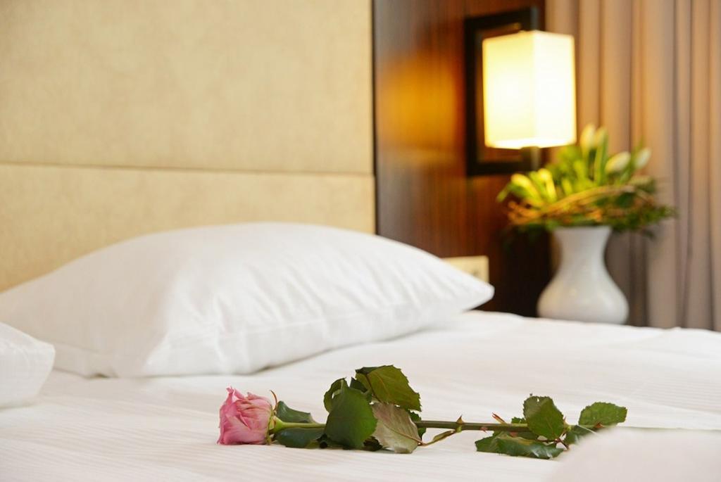 Hotel Fryderyk Nysa Bilik gambar